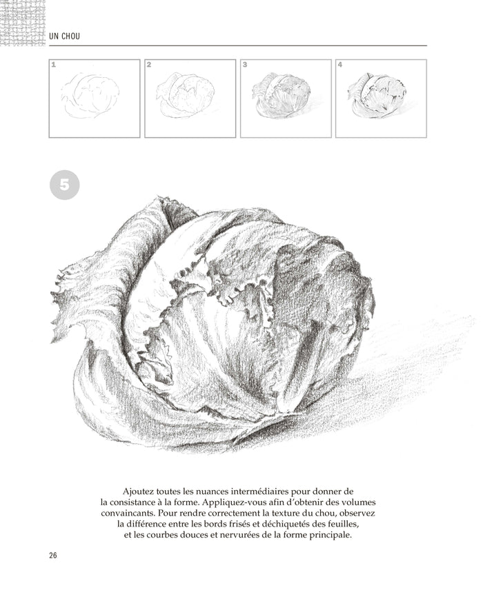 Tout dessiner en 5 étapes