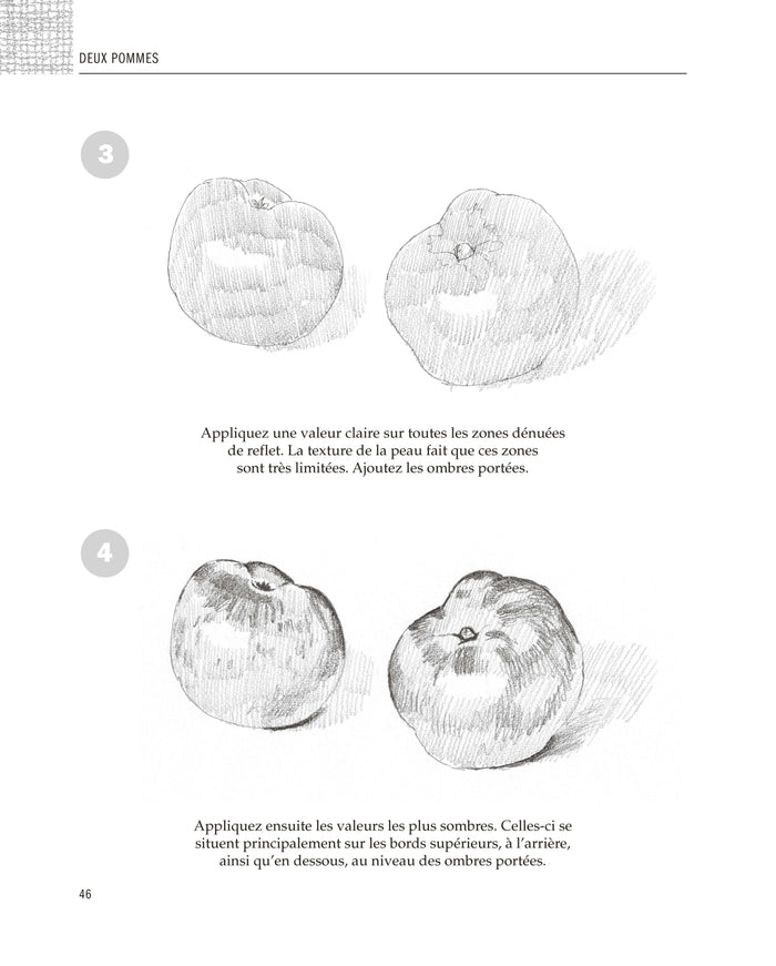 Tout dessiner en 5 étapes