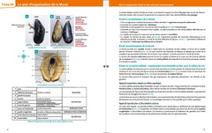 Mémo visuel de Biologie BCPST 1 et 2 - 3e éd.