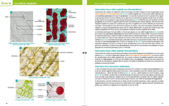 Mémo visuel de Biologie BCPST 1 et 2 - 3e éd.