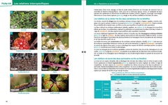 Mémo visuel de Biologie BCPST 1 et 2 - 3e éd.