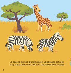 La savane