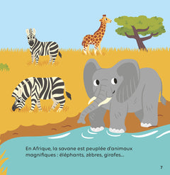 La savane