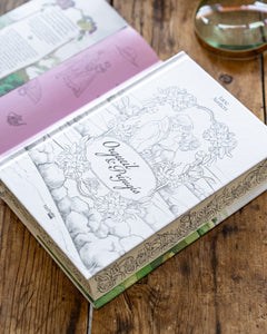 Orgueil & Préjugés - Le roman à colorier