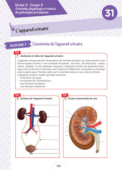 Cahier d'entraînement - Diplôme Aide-Soignant - DEAS