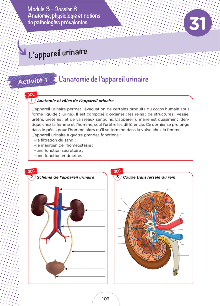 Cahier d'entraînement - Diplôme Aide-Soignant - DEAS