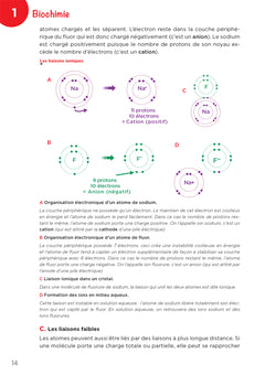 Ostéopathe - Métiers de la santé