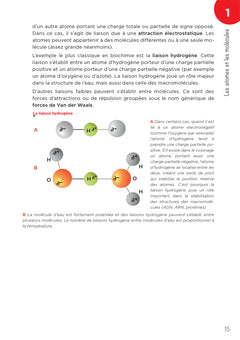 Ostéopathe - Métiers de la santé