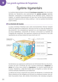 Ostéopathe - Métiers de la santé