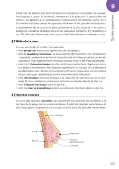 Ostéopathe - Métiers de la santé