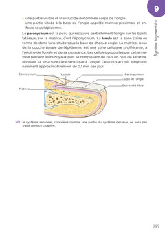 Ostéopathe - Métiers de la santé
