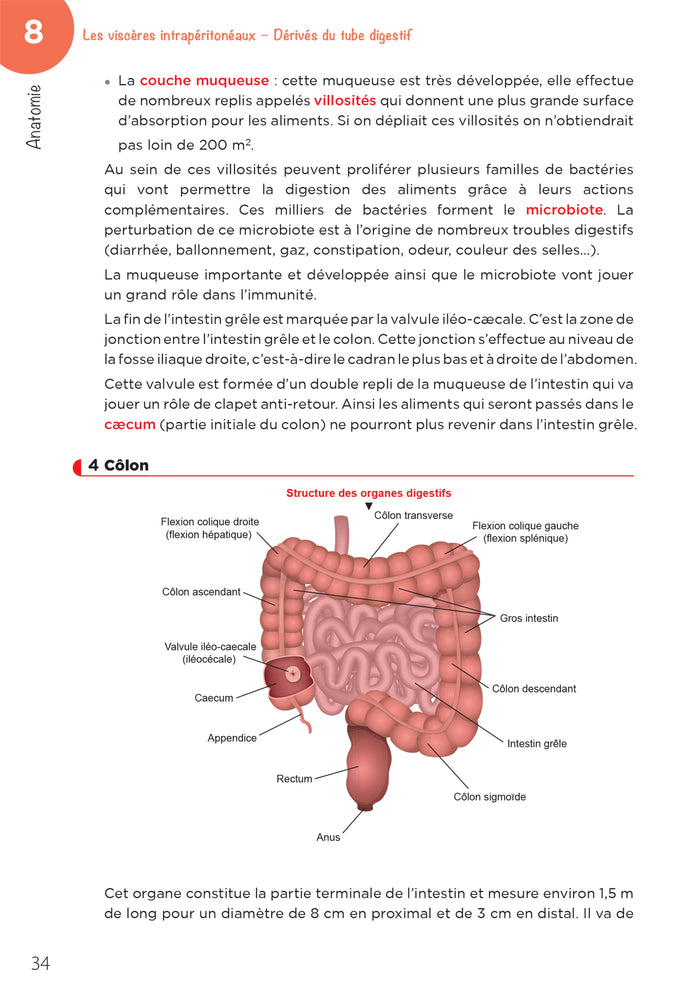 LAS - Licence Accès Santé - Tome 2