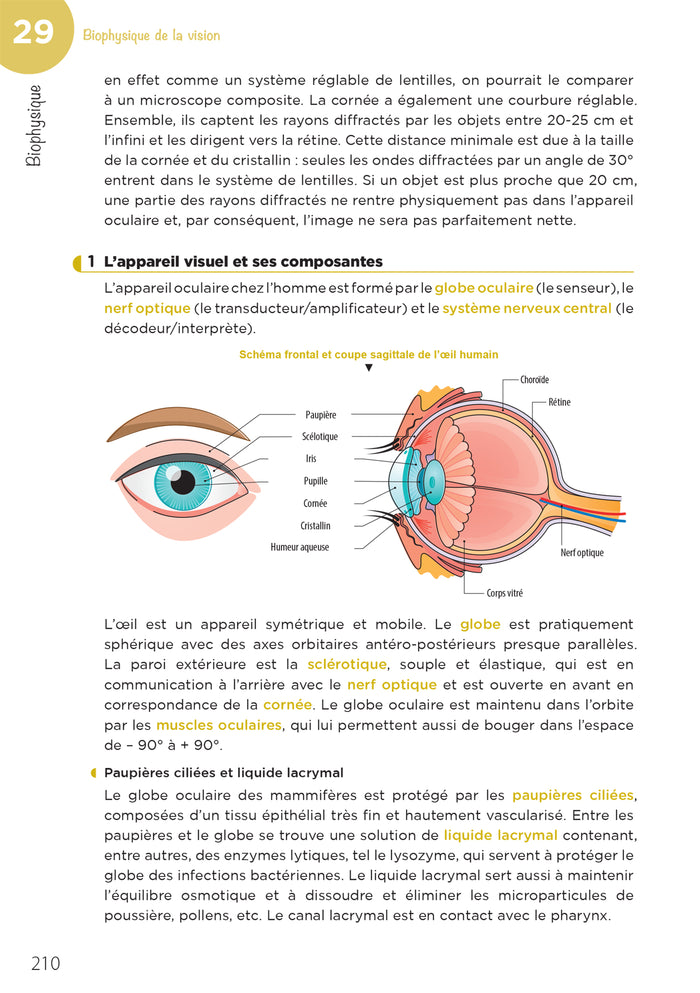 LAS - Licence Accès Santé - Tome 2
