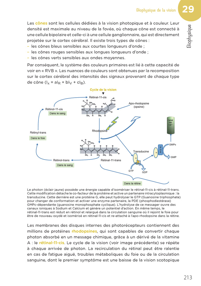 LAS - Licence Accès Santé - Tome 2