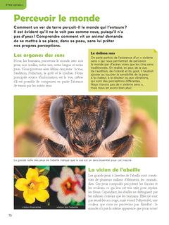 Le comportement animal