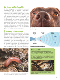 Le comportement animal