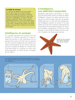 Le comportement animal