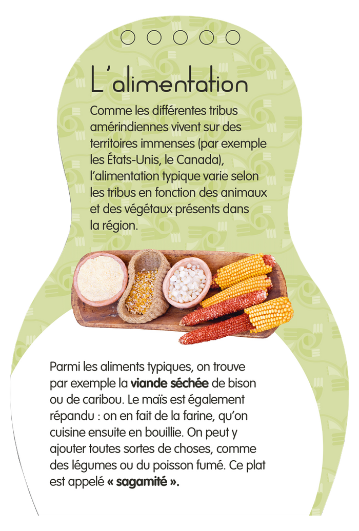 Minimiki - Carnet créatif - Aponi en Amérique