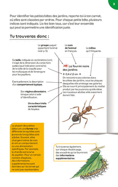 Petites bêtes des jardins
