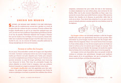 Wicca, La magie des bougies
