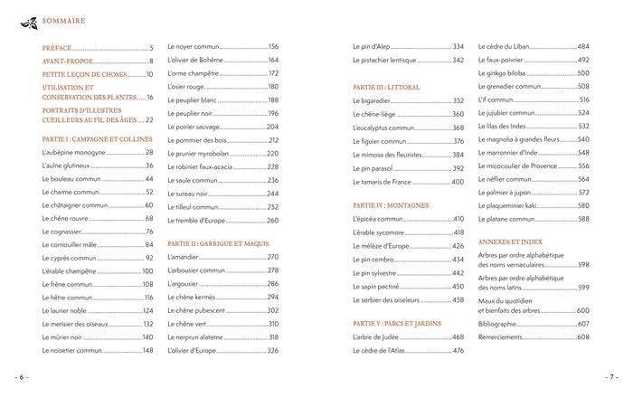 Grimoire & récits d'une cueilleuse d'arbres