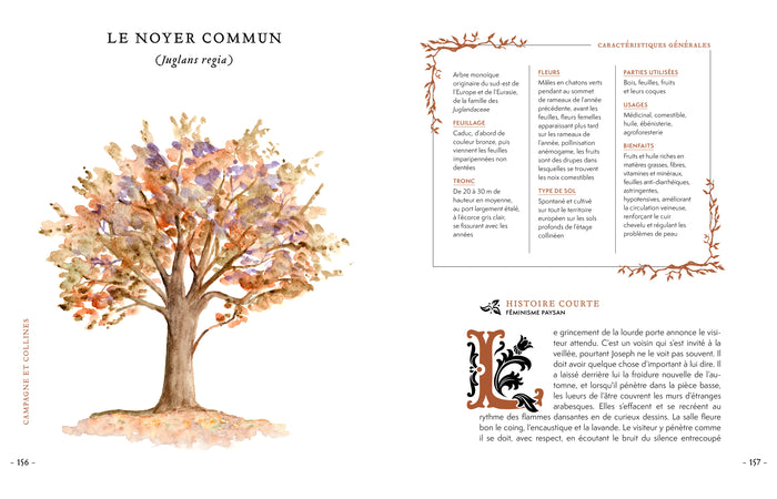 Grimoire & récits d'une cueilleuse d'arbres