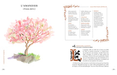 Grimoire & récits d'une cueilleuse d'arbres