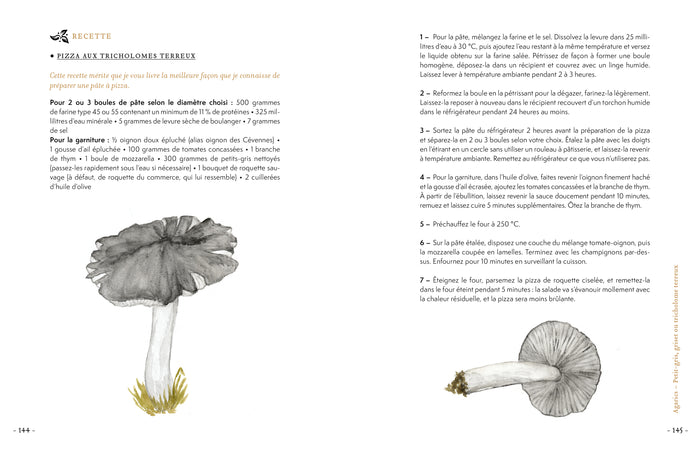 Grimoire & récits d'une cueilleuse d'arbres