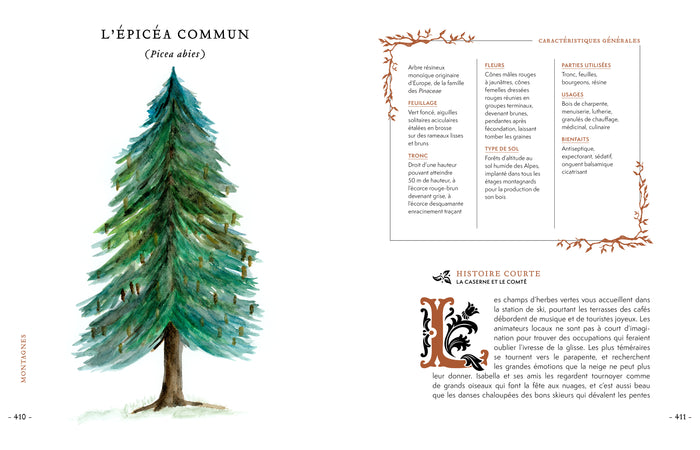 Grimoire & récits d'une cueilleuse d'arbres