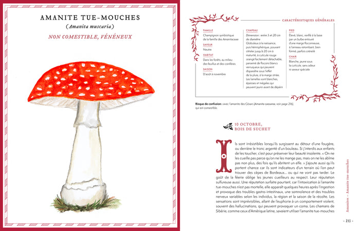 Grimoire & récits d'une cueilleuse d'arbres