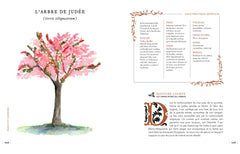 Grimoire & récits d'une cueilleuse d'arbres