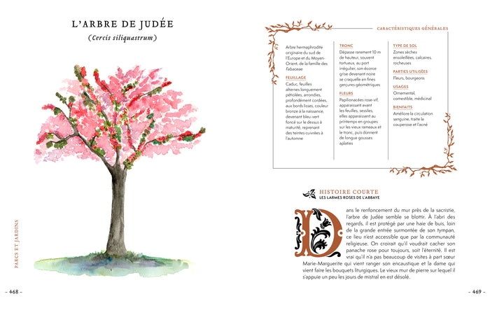 Grimoire & récits d'une cueilleuse d'arbres