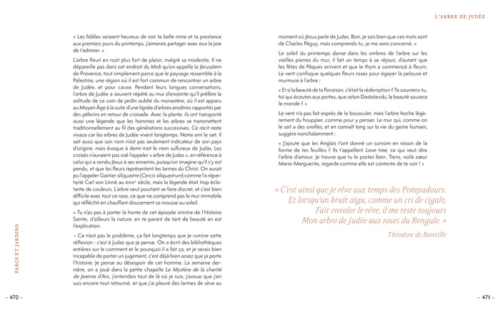 Grimoire & récits d'une cueilleuse d'arbres