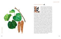 Grimoire & récits d'une cueilleuse d'arbres