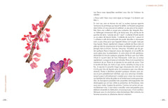 Grimoire & récits d'une cueilleuse d'arbres