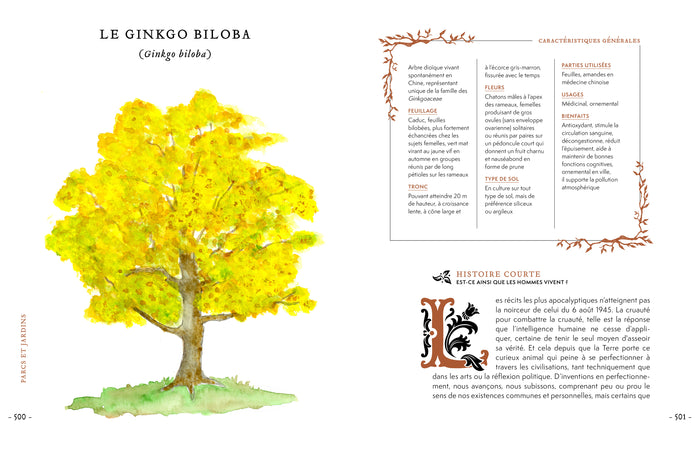 Grimoire & récits d'une cueilleuse d'arbres