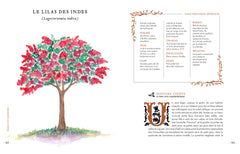 Grimoire & récits d'une cueilleuse d'arbres