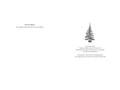 Un Noël presque parfait