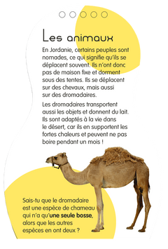 Minimiki - Carnet créatif - Zeina en Jordanie