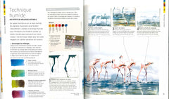 Le grand cours d'aquarelle