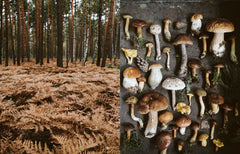 Des légumes, du sel et des braises