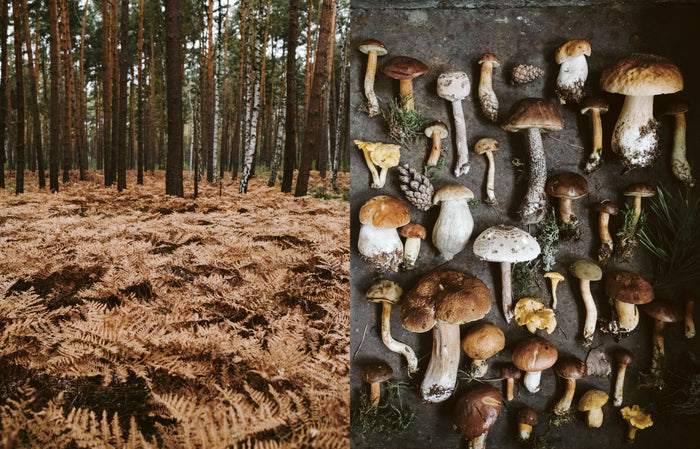 Des légumes, du sel et des braises