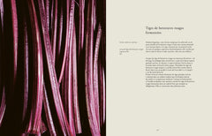 Des légumes, du sel et des braises