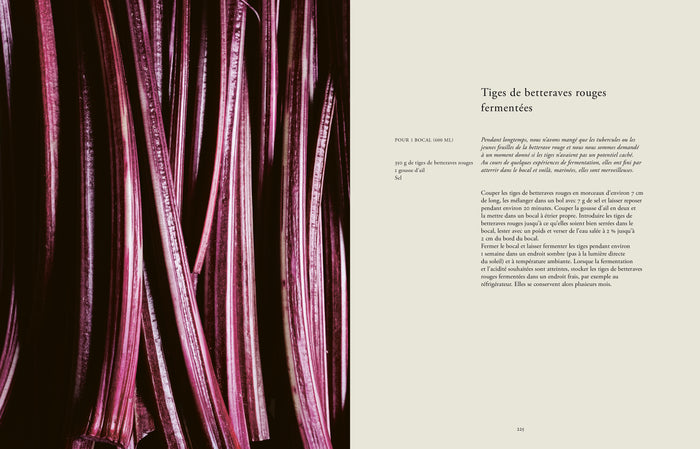 Des légumes, du sel et des braises