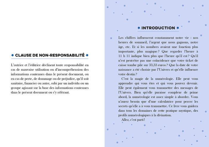 Little Book Numérologie