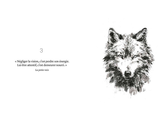 52 paroles chamaniques