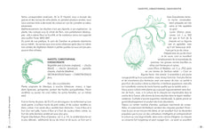 Le potager d'un curieux