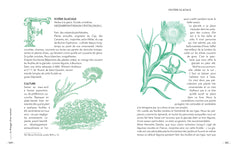 Le potager d'un curieux