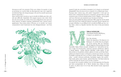 Le potager d'un curieux
