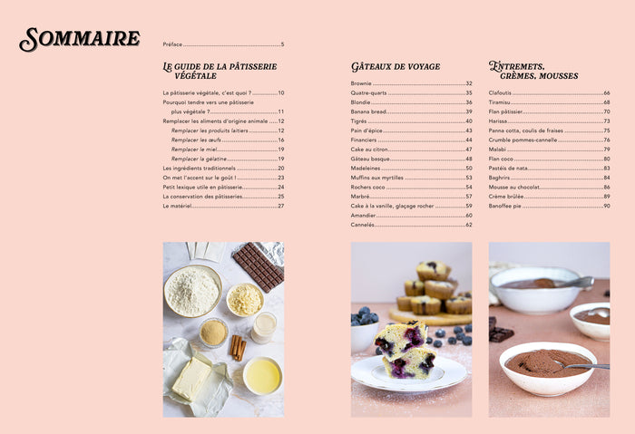 Le Grand Livre des Gâteaux de Famille